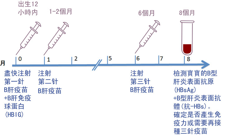 予防 肝炎 b 接種 型